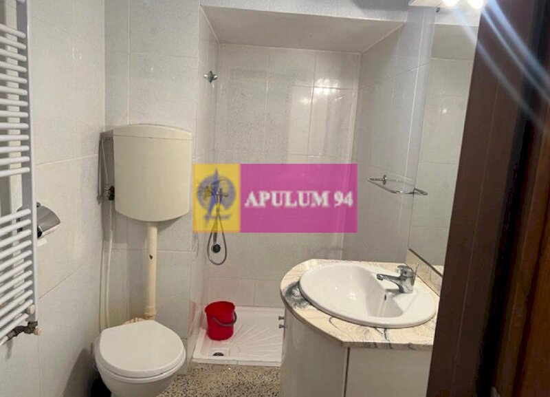 Apartament 4 camere in vila- Gara de Nord.